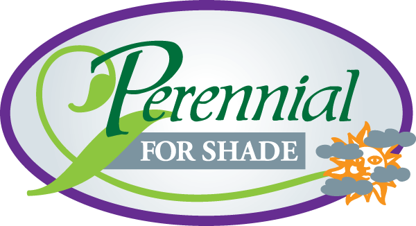 Plant Details - Calligraphy (600x326)