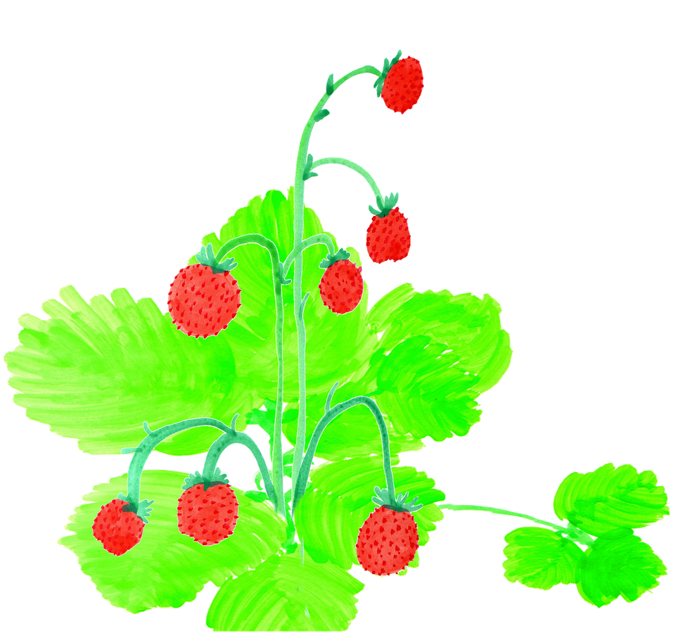 Drawn Sketch,children's Book ,figures - Watercolor Painting (1280x961)