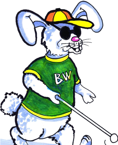 Buy The Book - Disability (387x508)