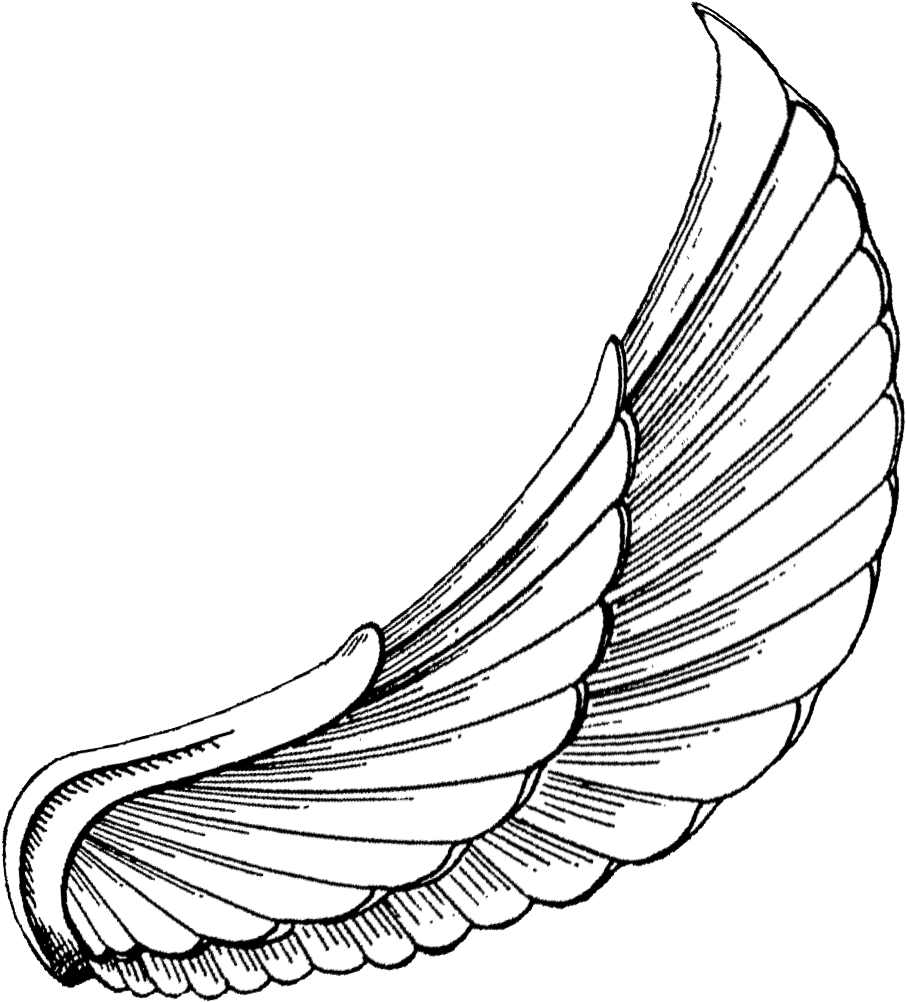 Vector Royalty Free Download To Download Click On - Egyptian Wings Tattoo Designs (1336x1200)