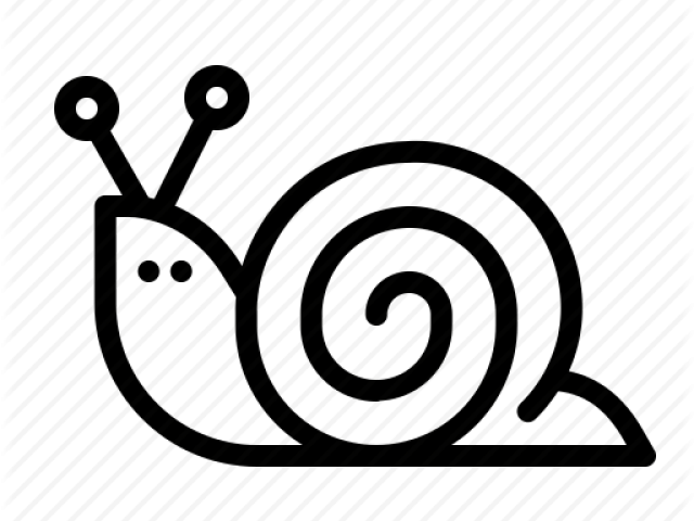 Mollusc Clipart Bunny - Mollusc Shell (640x480)