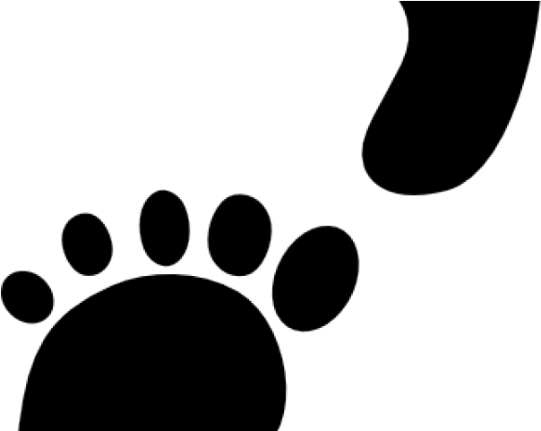 Path Clipart Shoe Footprint - Clip Art (640x480)