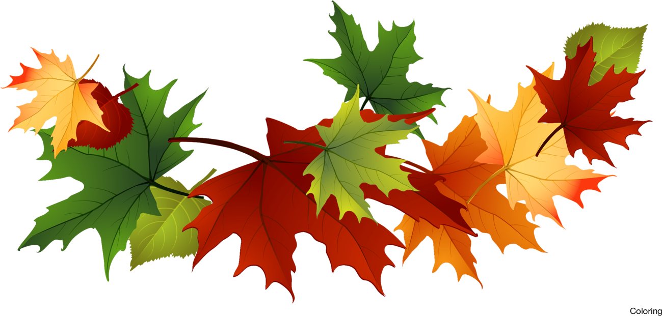 Free Leaf Cliparts - Transparent Background Fall Leaves Clip Art (1328x672)
