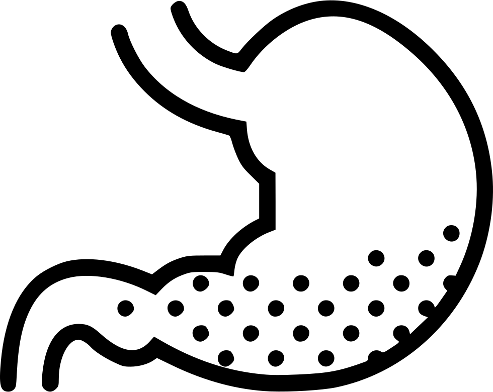 Collection Of Free Download On Ubisafe Acid - Stomach Outline Png (980x780)