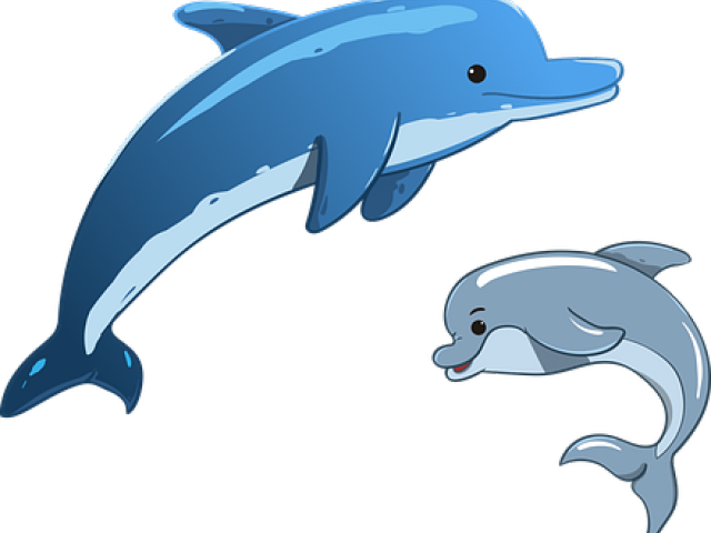 Flippers Clipart Whale Dolphin - Cartoon Dolphin (640x480)