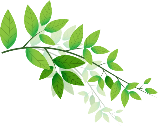 At Ayushakti, People Suffering From 10 Year Old Psoriasis, - Ayurvedic Leaf (505x405)