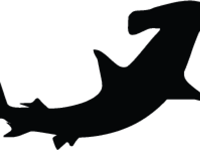 Hammerhead Shark Clipart Vector - Sticker (640x480)