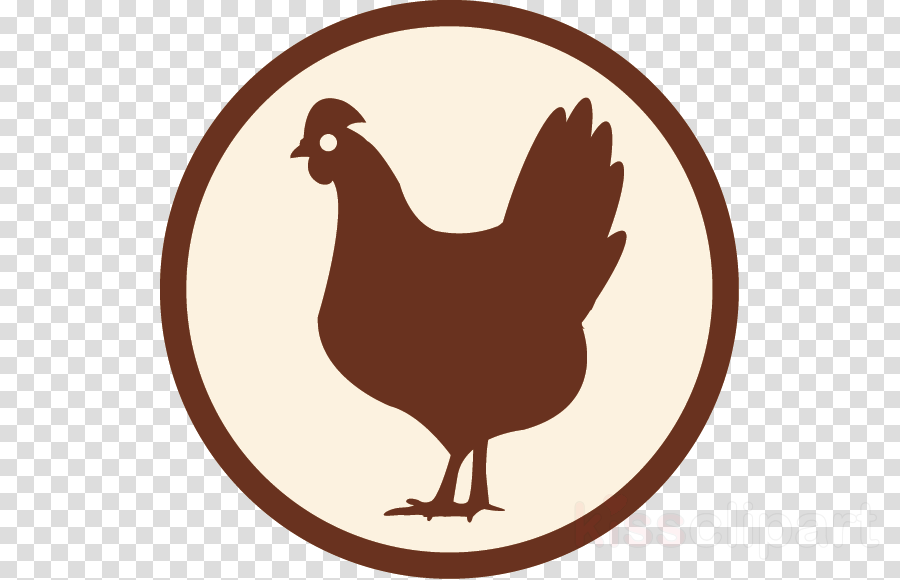 Free Icon Chicken Clipart Rooster Chicken Gulai - Hoffman Lake Mesh Cap (900x580)