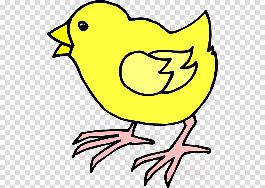 Chick Coloring Pages Clipart Chicken Drawing Clip Art - Pinto Png (900x640)