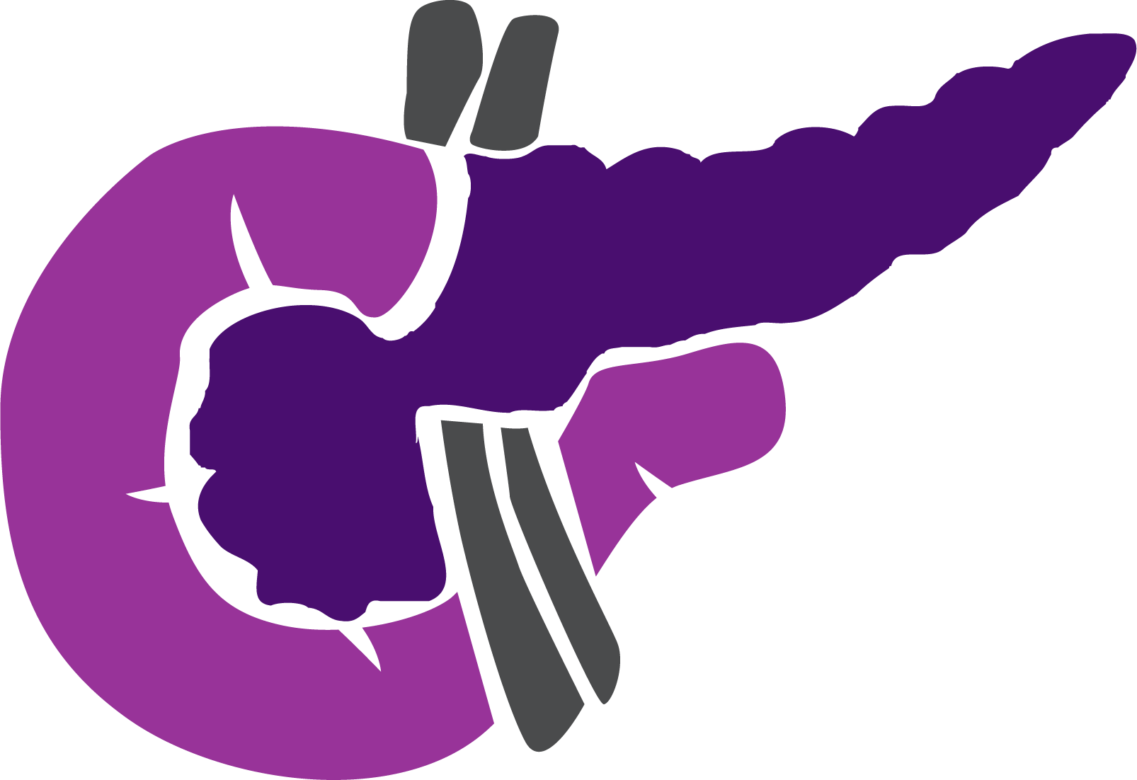 胰 臟 卡通 (1606x1102)