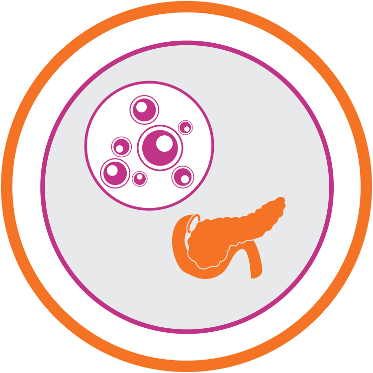 Function Of The Pancreatic Islets - Islet Cell Transplantation (750x750)