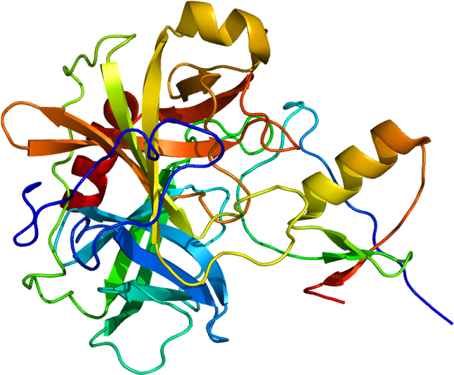 Modelisation Proteine (695x583)