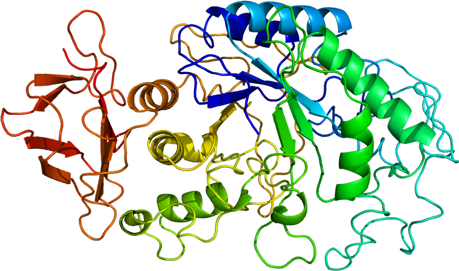 Evolution Of Molecular Biology: The Search (983x601)