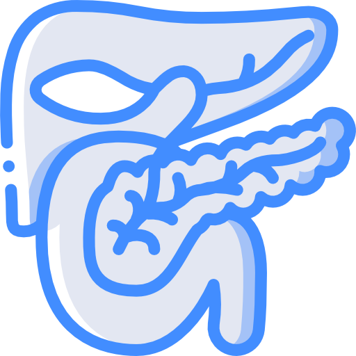 Pancreas Free Icon - Pancreas (512x512)