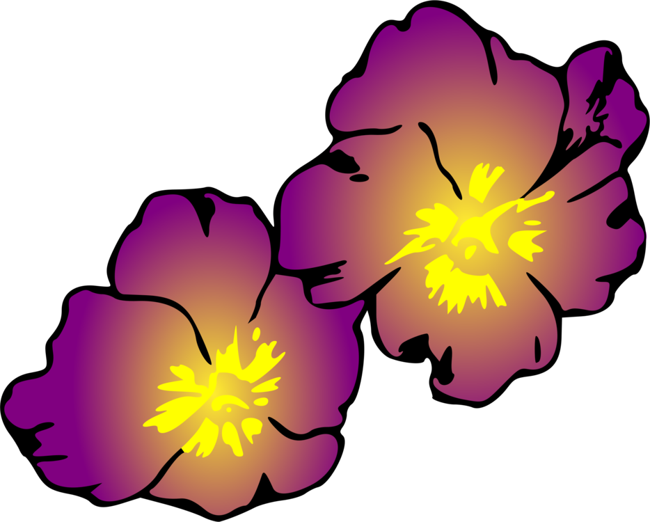 Violet Herbaceous Plant Plants Violaceae - Clip Art (934x750)