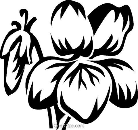 Violet Royalty Free Vector Clip Art Illustration - Violet Royalty Free Vector Clip Art Illustration (480x451)