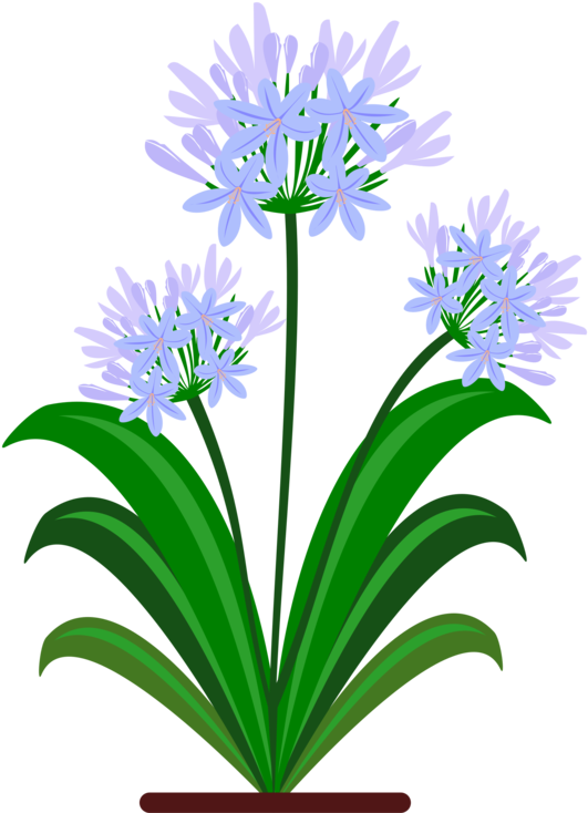 Blue Yellow Flower Green Violet - Botanical Drawing Pdf Agapanthus (750x750)