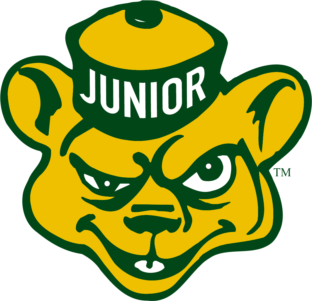 Games - University Of Alberta Golden Bears (1073x1034)