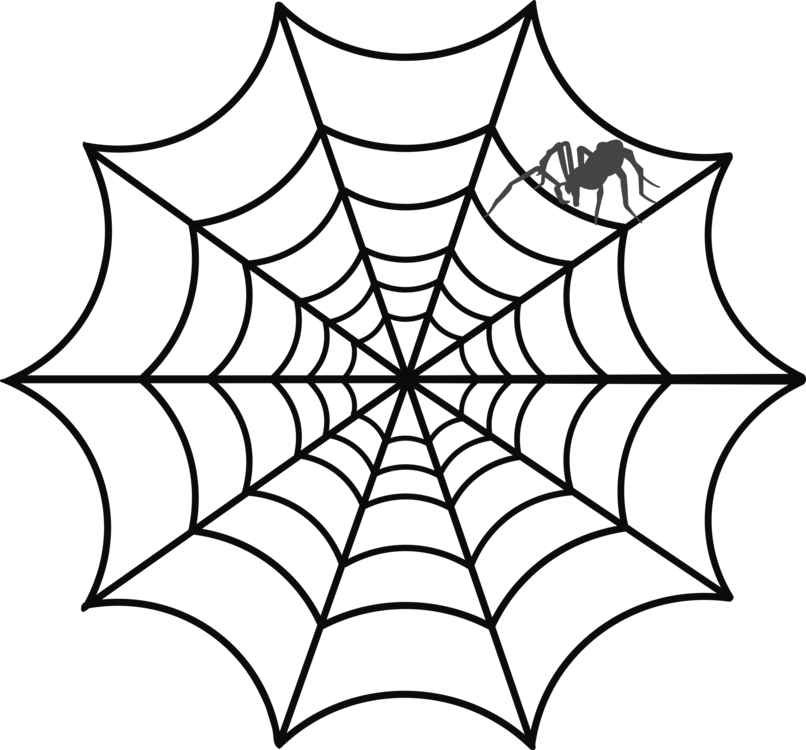 Spider Web Clipart Spider Web Drawing Web Design Australian - Web Clipart (806x750)