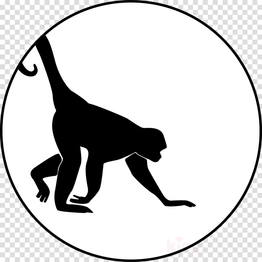 Spider Monkey Silhouette Clipart Cat Clip Art - Indonesia University Of Education (900x900)