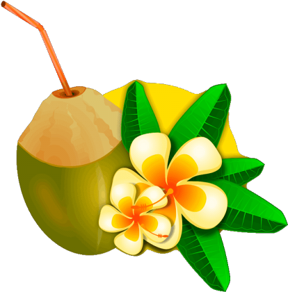 Coconut Clipart Single Fruit - Impatiens (640x480)