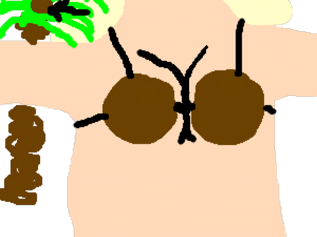 Coconut Clipart Coconut Bra - Cartoon Coconut Bra (640x480)