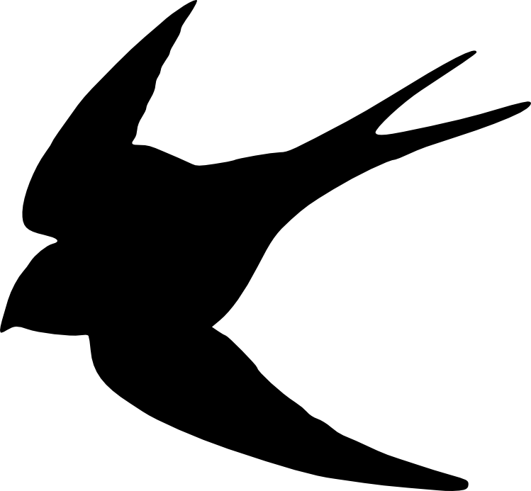 Photo Swallow - Swallow (749x693)