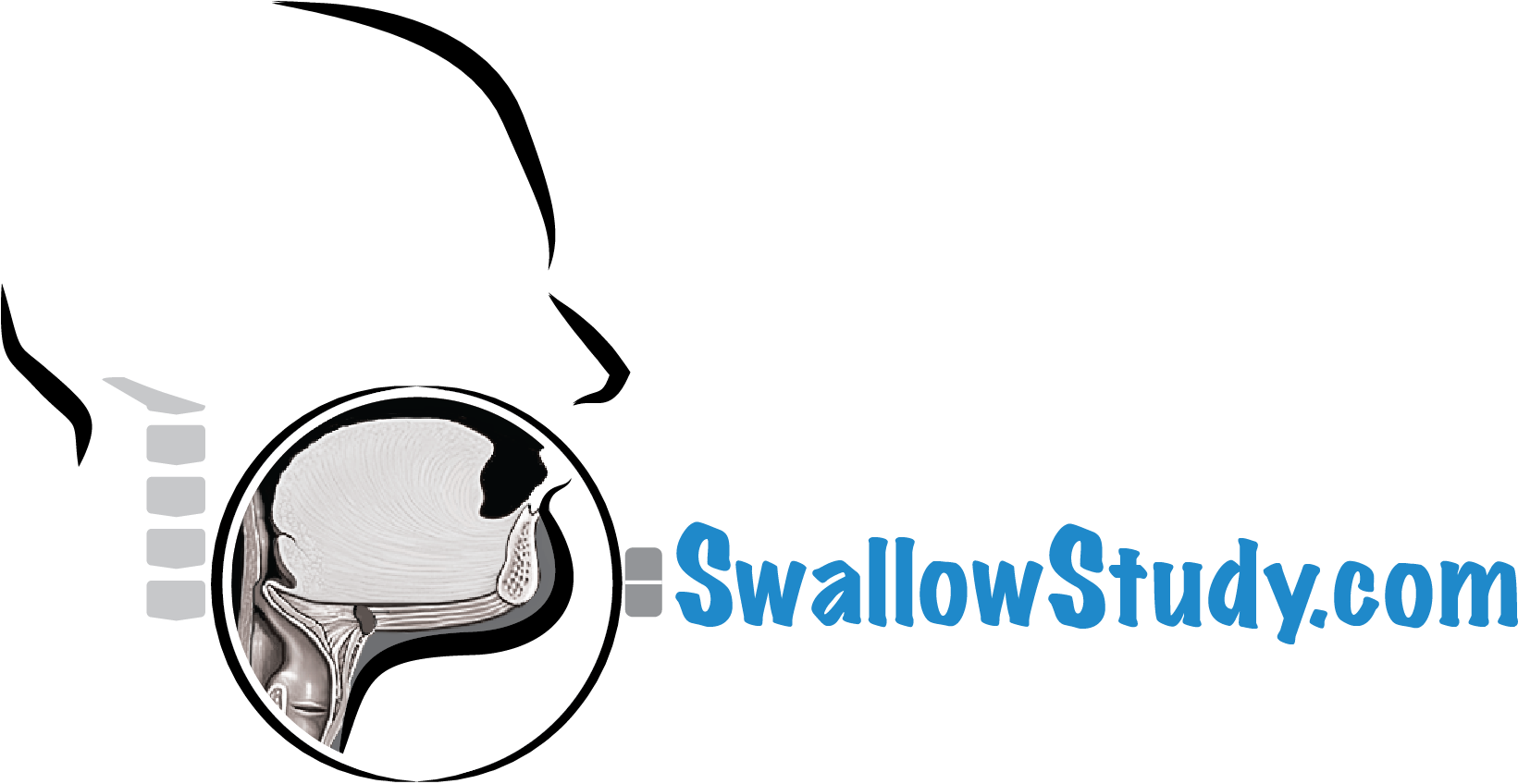 Founder, Owner And Editor - Dysphagia (1641x856)