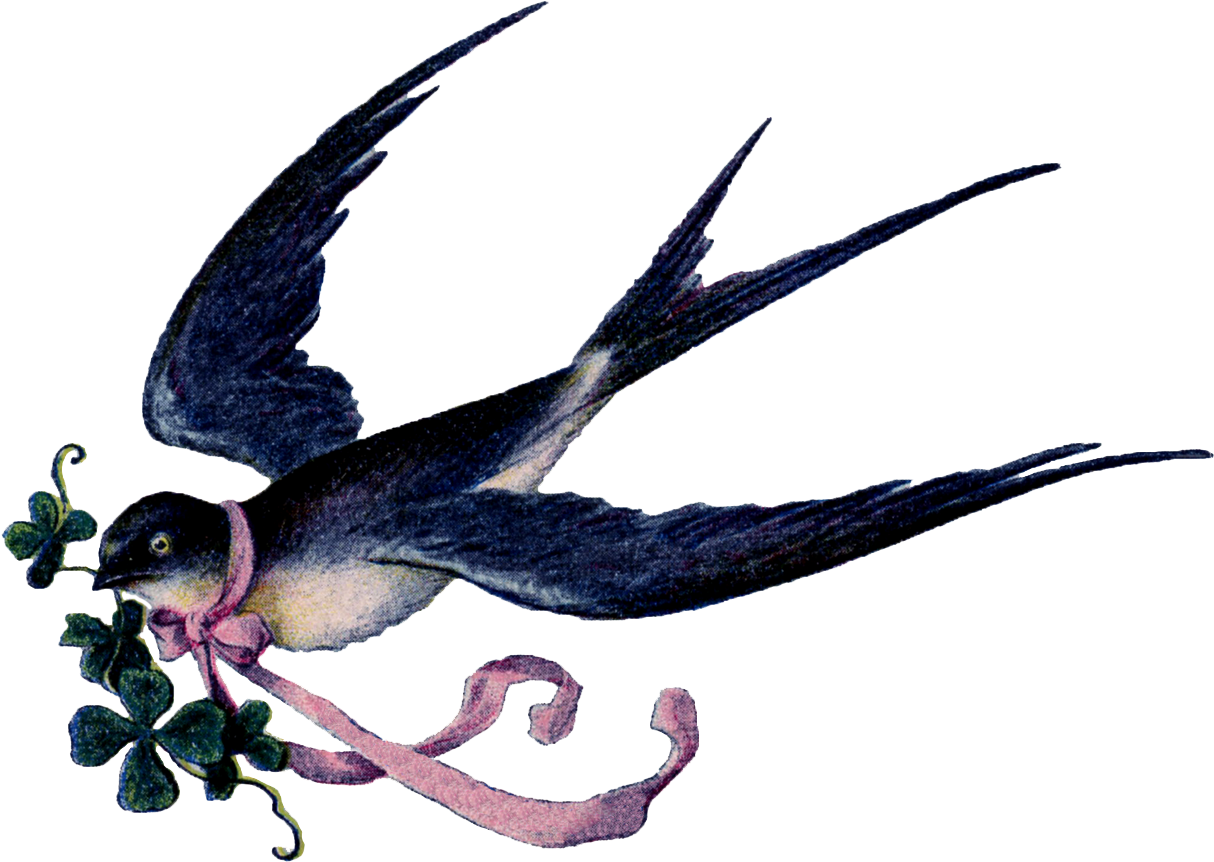 Swallow Clipart Victorian - Ribbon In Birds Mouth (1278x975)
