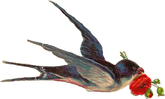 Swallow Clipart Free Vintage Bird - Bird With Flower Png (640x480)