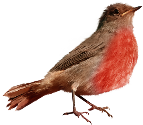 Bird Theme, Linnet, Bird Crafts, Clip Art, Butterflies, - Соловей Png (500x436)