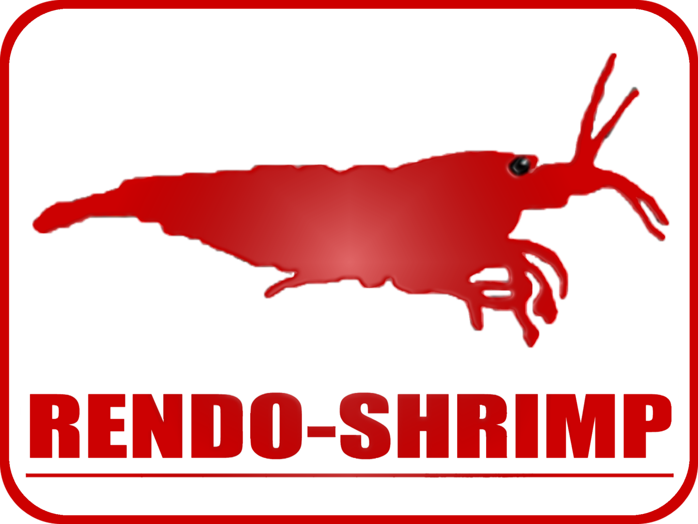 Tanichthys Albonubes - Glowlight Rasbora (1440x1080)