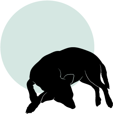 Kirby Dog Services - Kirby Dog Services (400x400)