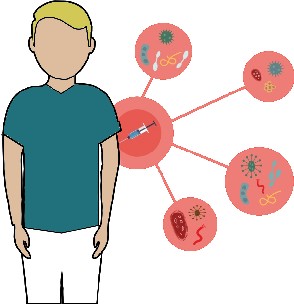 The Importance Of Vaccines - Vaccination (626x626)