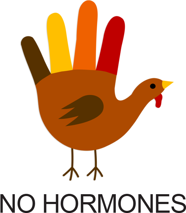 Turkey - Hand Turkey (654x786)