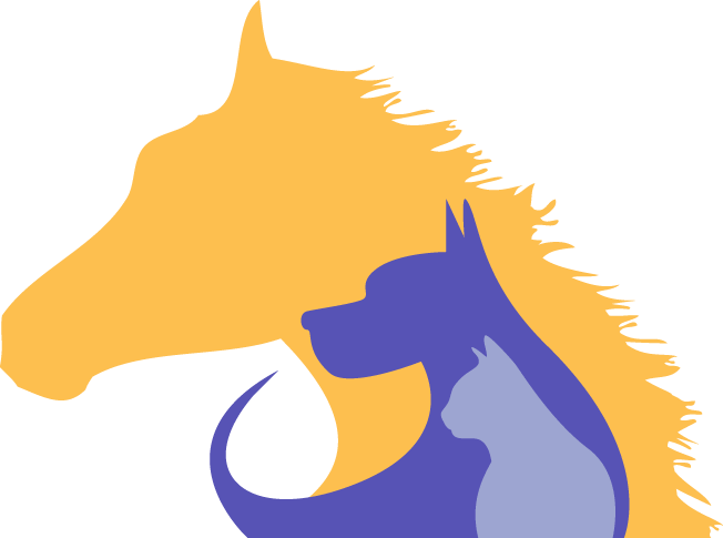 Perth Vet Services Offering Vaccinations Preventative - Horse (652x485)