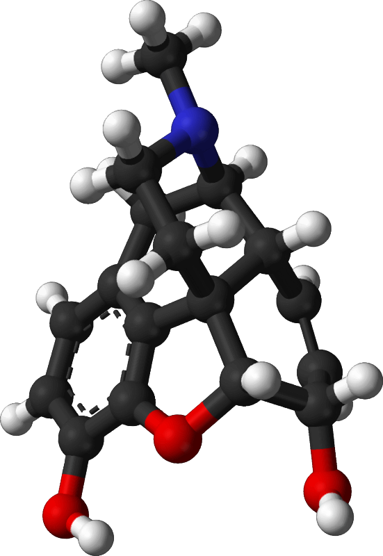 Morphine Molecule Endorphins Chemistry Chemical Substance - Endorphins Structure (551x800)