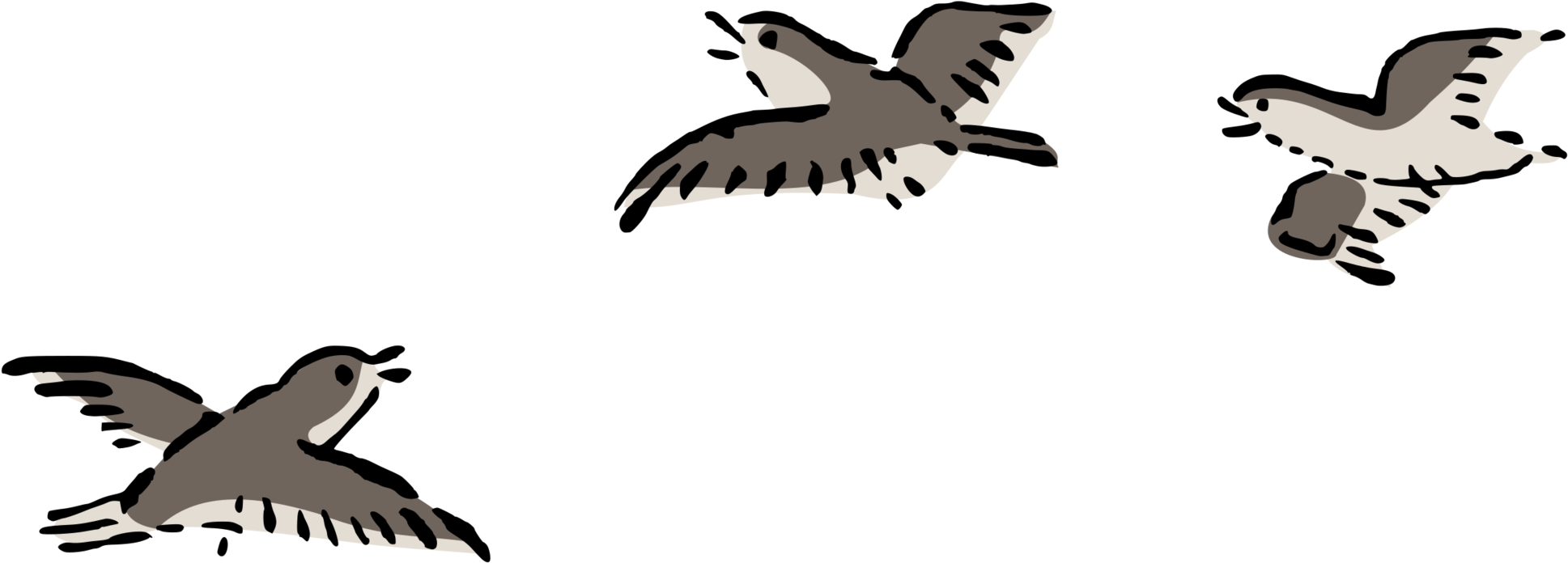 Bird Flight Bird Flight Columbidae Airplane - Clip Art Birds Flying (2000x750)