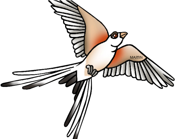 Kingfisher Clipart Clip Art - Scissor Tailed Flycatcher Clipart (640x480)