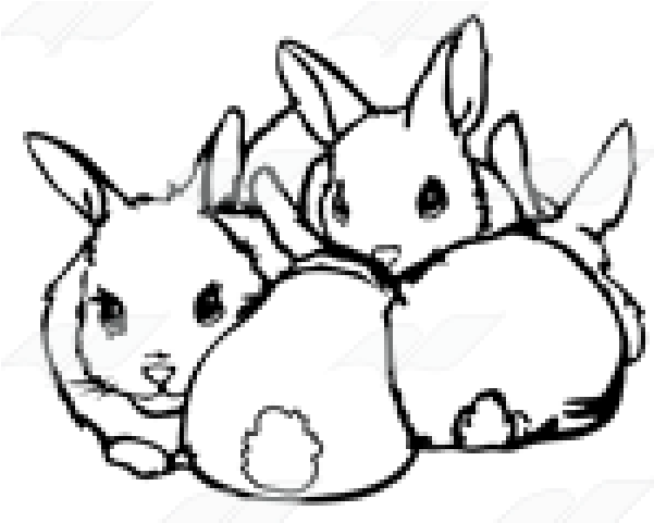 Rabbit Clipart Four - Sketch (640x480)