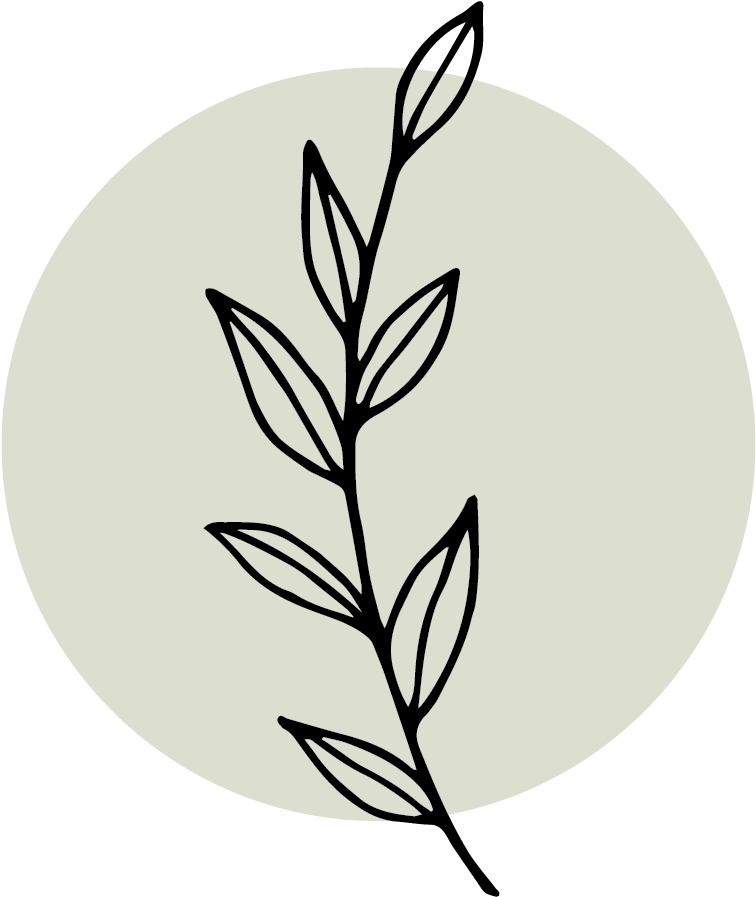 Organic Shapes And Natural Colors Compliment Its Transparent - Illustration (1251x1250)