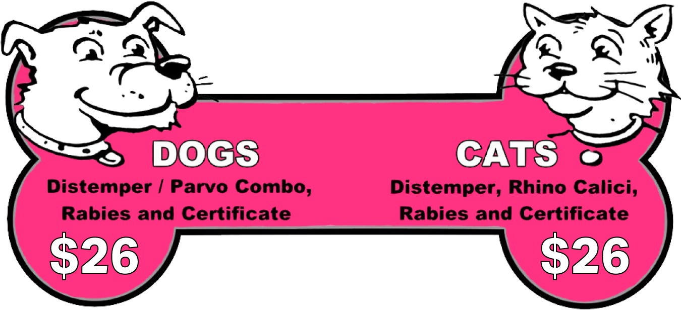 Dog And Cat Shots As Low As $26 - Dog And Cat Shots By Yolanovet (1463x730)