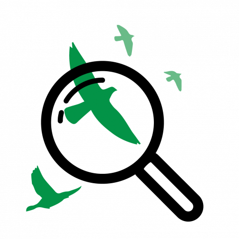 Predicting Seabird Distributions - Zusatzleistung Deutsche Post (480x480)