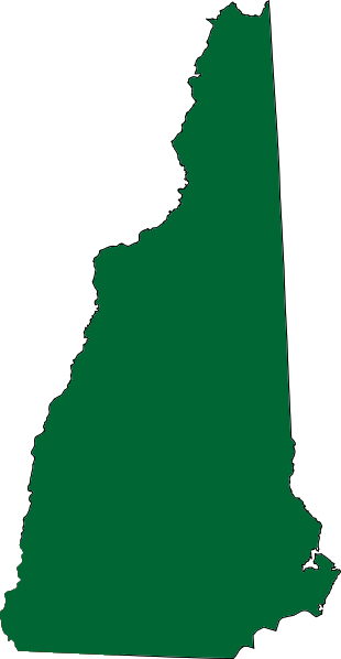 Mental Health Resources In New Hampshire - New Hampshire State Outline With Flag (310x598)