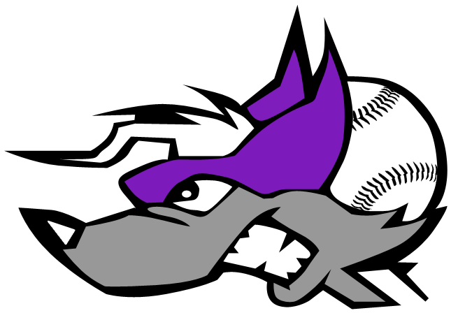 New Hampshire Wild - Customize Softball Name Beach Towel (700x470)