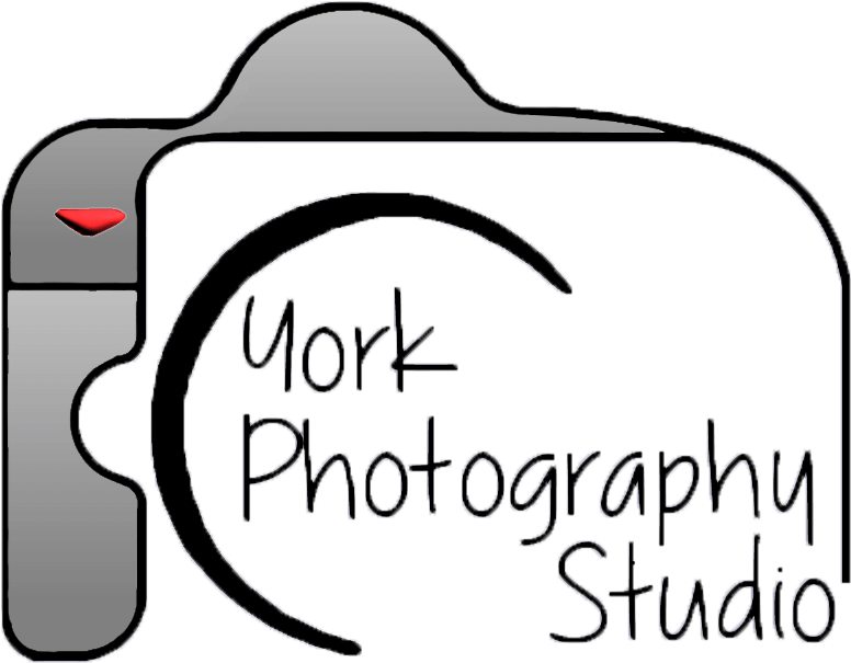 Photography Clipart Professional Photographer - Photography Clipart Professional Photographer (805x612)
