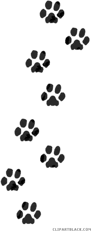 Paw Print Animal Free Black White Clipart Images Clipartblack - Dog Paw Print Png (321x760)