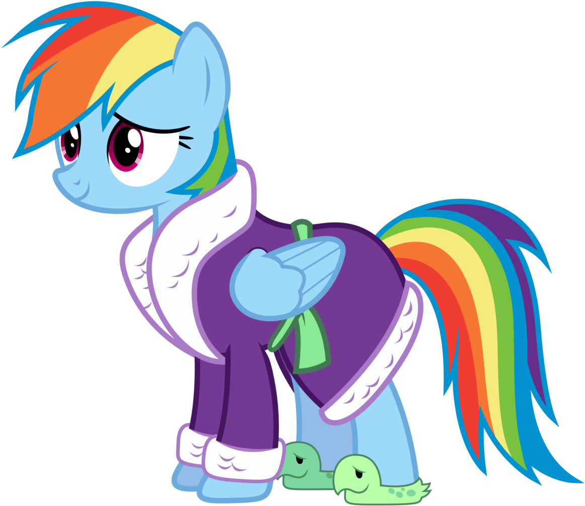 Absurd Res, Artist - Mlp Rainbow Dash Bathrobe (1164x1024)