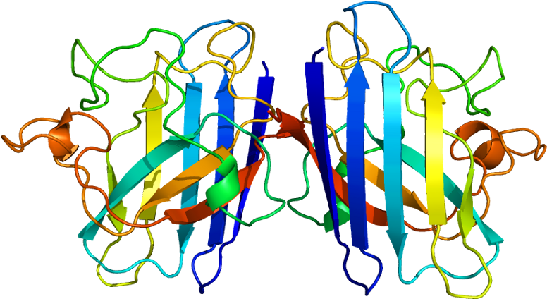 Database Clipart Sporadic - Protein Composed Of More Than One Polypeptide Chain (825x473)