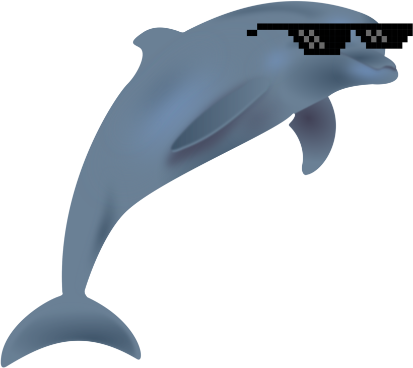 Dolphin Silhouette Animal Fish - Dolphin Silhouette (833x750)
